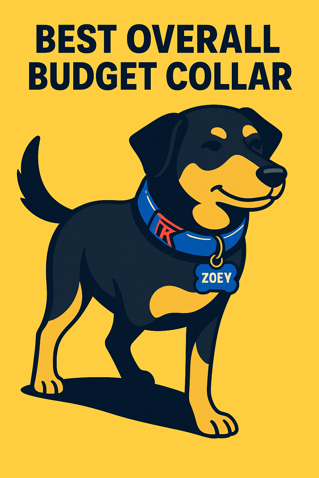 Best Budget Collar