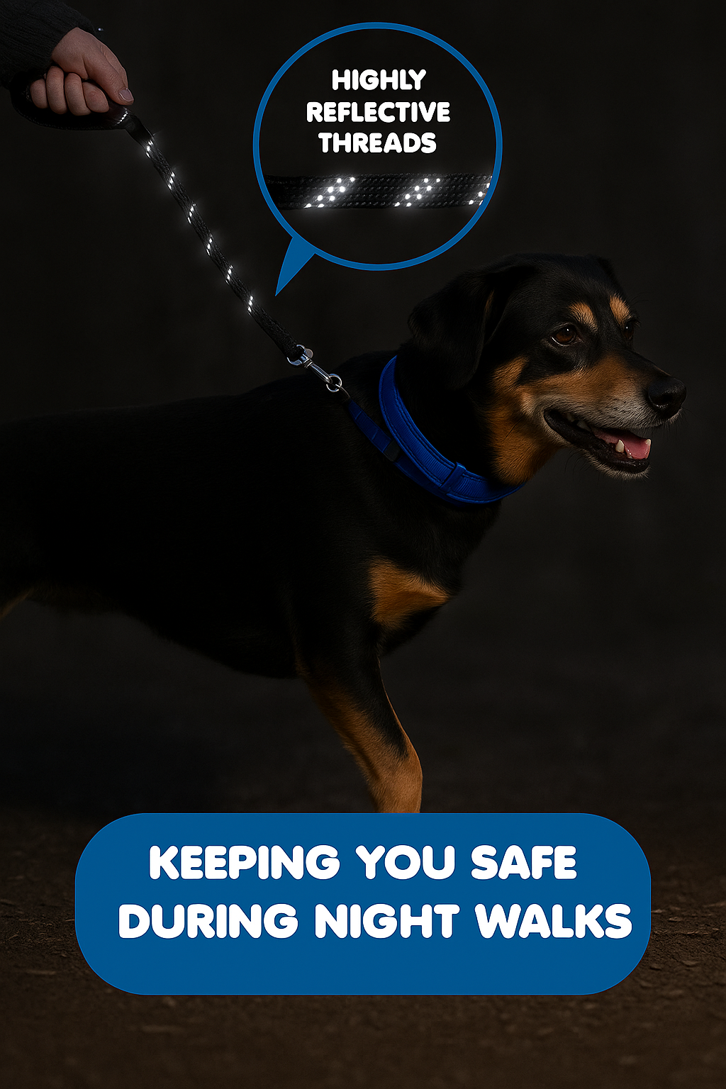 SunGrow Nylon Dog Rope Leash